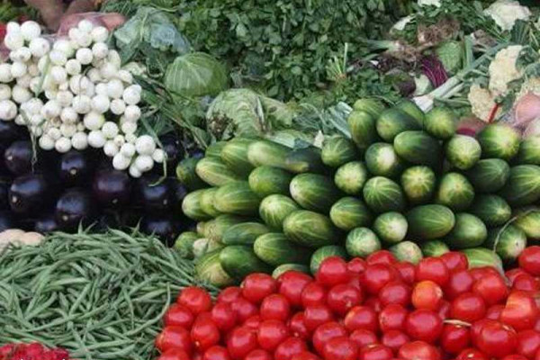 Vegetable exporters accuse Plant Protection Directorate of collapsing their businesses